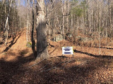 25 Phelps Ln unit Tax map – map 9 parc, Readsboro, VT 05350 - photo 3