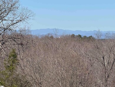 407 Mulberry Rd, Easley, SC 29640 - photo 7