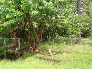 Vacant Lot Next Door