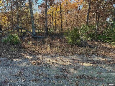 0000 Akin Rd, MacEdonia, IL 62860 - photo 7