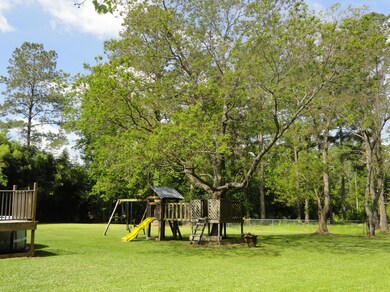Backyard 2