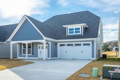 384 Willow Grove Ct, Ringgold, GA 30736 - photo 3