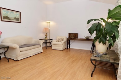 25362 Tyndall Falls Dr, Olmsted Falls, OH 44138 - photo 5