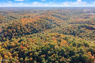 Nydeck Rd, Robbins Tn-11