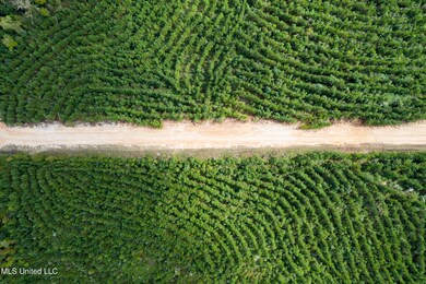 010 Attala Rd, McCool, MS 39108 - photo 2