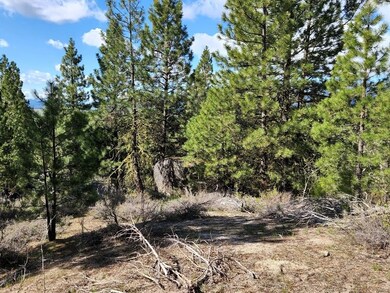 48 Joshua Dr unit 3, Cascade, ID 83611 - photo 6