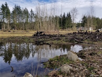 1417 394th St S, Roy, WA 98580 - photo 4