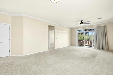 215 Bonham Loop, Georgetown, TX 78633 - photo 4