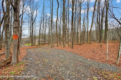 308 Shady Glen Rd, East Durham, NY 12423 - photo 3