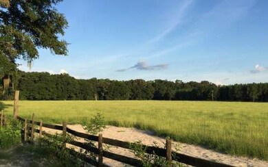 2929 264th St, O'Brien, FL 32071 - photo 4