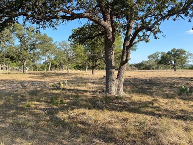 00 Pfiester Rd, Fredericksburg, TX 78624 - photo 2