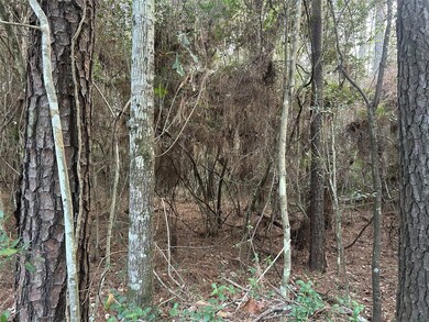 28655 Joseph Rd, Hockley, TX 77447 - photo 7