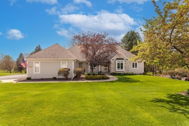 Welcome to Tree Line Ct!