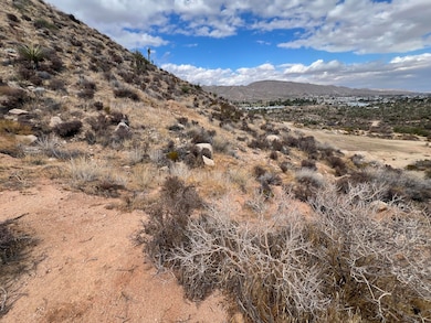 0 Navajo Trail unit 219138996DA, Yucca Valley, CA 92284 - photo 7