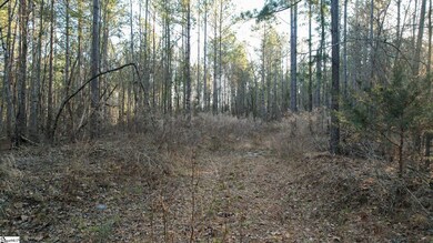 03 Jefferson Davis Rd unit Tract C, Mountville, SC 29370 - photo 6