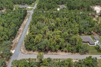 6184 W Eldorado Ln, Beverly Hills, FL 34465 - photo 3