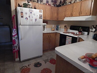 1908 E Maryann Ln, Hernando, FL 34442 - photo 4