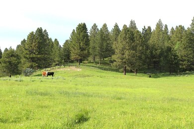 Rolling Terrain & Wooded Views