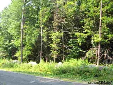 24 Lincoln Mountain Rd, Greenfield Center, NY 12833 - photo 6