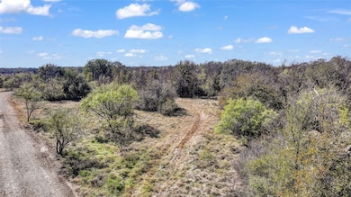 TBD Grindstone Rd, Hudson Oaks, TX 76087 - photo 7