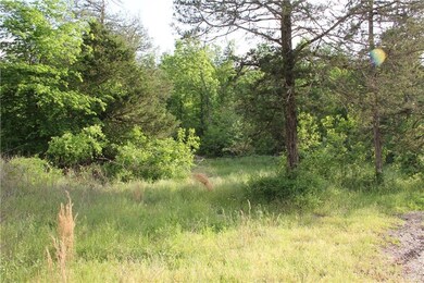 10864 Bray Rd, Elkins, AR 72727 - photo 6