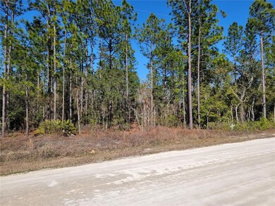 Nicely Wooded