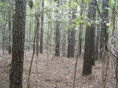 5757 Moore Creek Rd, Powhatan, VA 23139 - photo 2