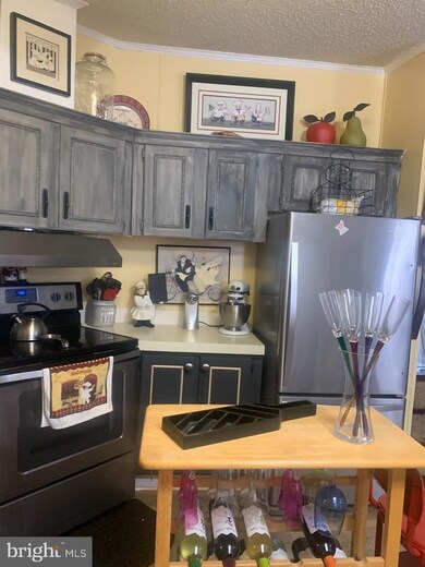 10600 Davis Ave unit B4, Woodstock, MD 21163 - photo 6