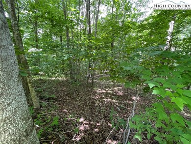 TBD Lot #9 Granite Creek Dr, Jefferson, NC 28640 - photo 7