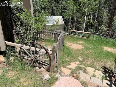 unique landscape items throughout the yard