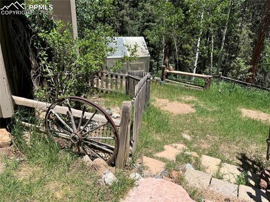 70 Cradle Lake Place, Divide, CO 80814 - photo 5