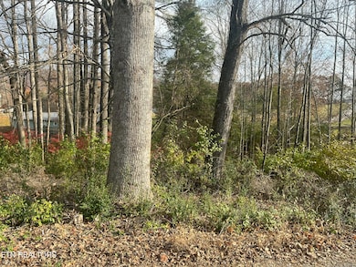 114 E C Noe Rd, Coalfield, TN 37840 - photo 3