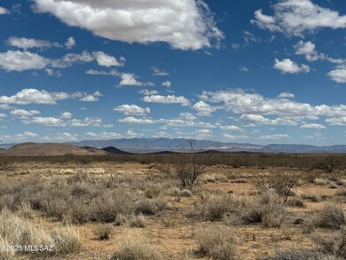 IMG_0127 (1)