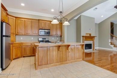 203Flamingo-6
