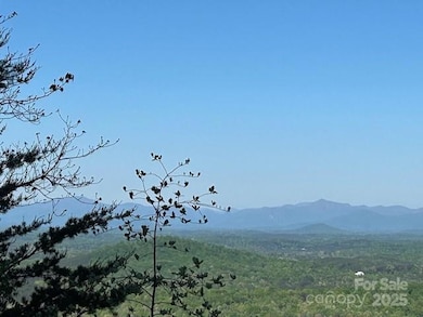 0 Arbra Mountain Way unit CAR4224453, Bostic, NC 28018 - photo 2