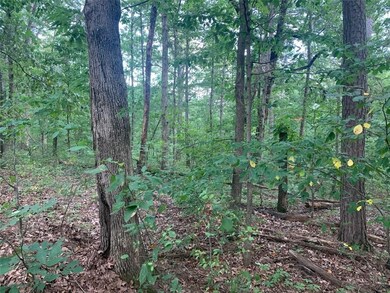 0 St Neots Ln unit 1194087, Bella Vista, AR 72714 - photo 6