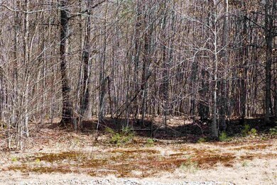 90 Grandview Rd, Conway, NH 03860 - photo 5