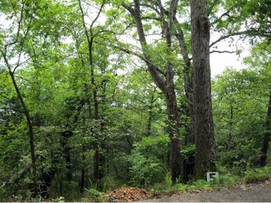 Lot 5 Hunters Glen, Kimberling City, MO 65686 - photo 6