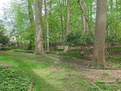 GARDENS & BACK YARD VIEWS