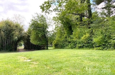 99999 Brevard Rd, Hendersonville, NC 28792 - photo 2