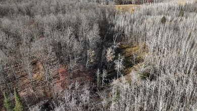 N13315 Harper Rd, Athelstane, WI 54104 - photo 5