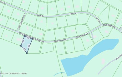 Image 11-5-25 at 4.24PM