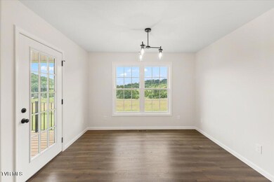 218 Old Siam Rd, Elizabethton, TN 37643 - photo 7