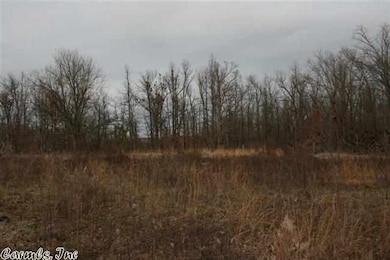 1193 Greene Road 731, Paragould, AR 72450 - photo 5