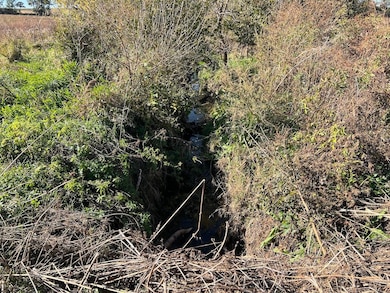 650 County Road R, Yutan, NE 68073 - photo 7