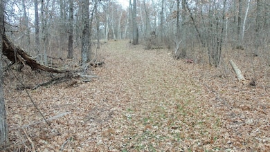 Lot 4 300th St, Sterling Township, WI 54024 - photo 3
