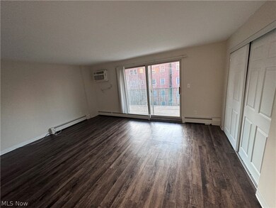 Unfurnished bedroom with a baseboard radiator, dark hardwood / wood-style floors, access to exterior, and a closet