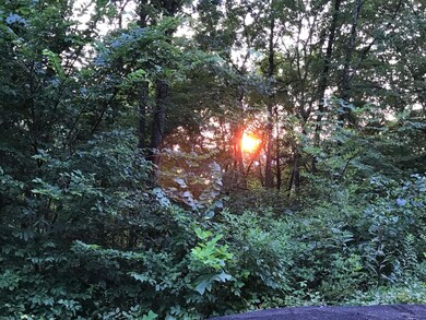 Lot #347 Norris Lake Access, Sunset Bay