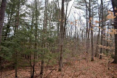 000 Deer Run unit Map 1, Lot 359 J, Henniker, NH 03242 - photo 2