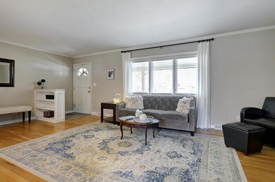 Living Room 2